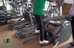 Gym Workout